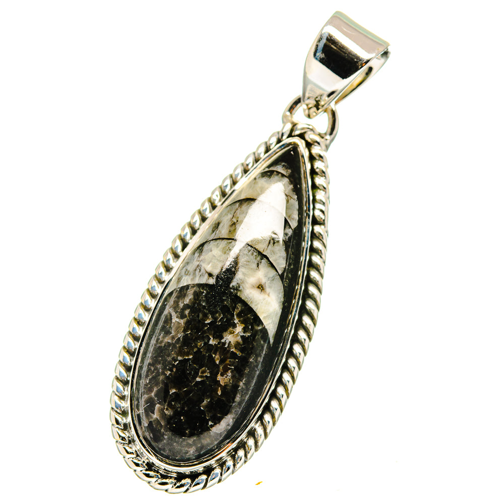 Orthoceras Fossil Pendants handcrafted by Anasilvercos - PD13610