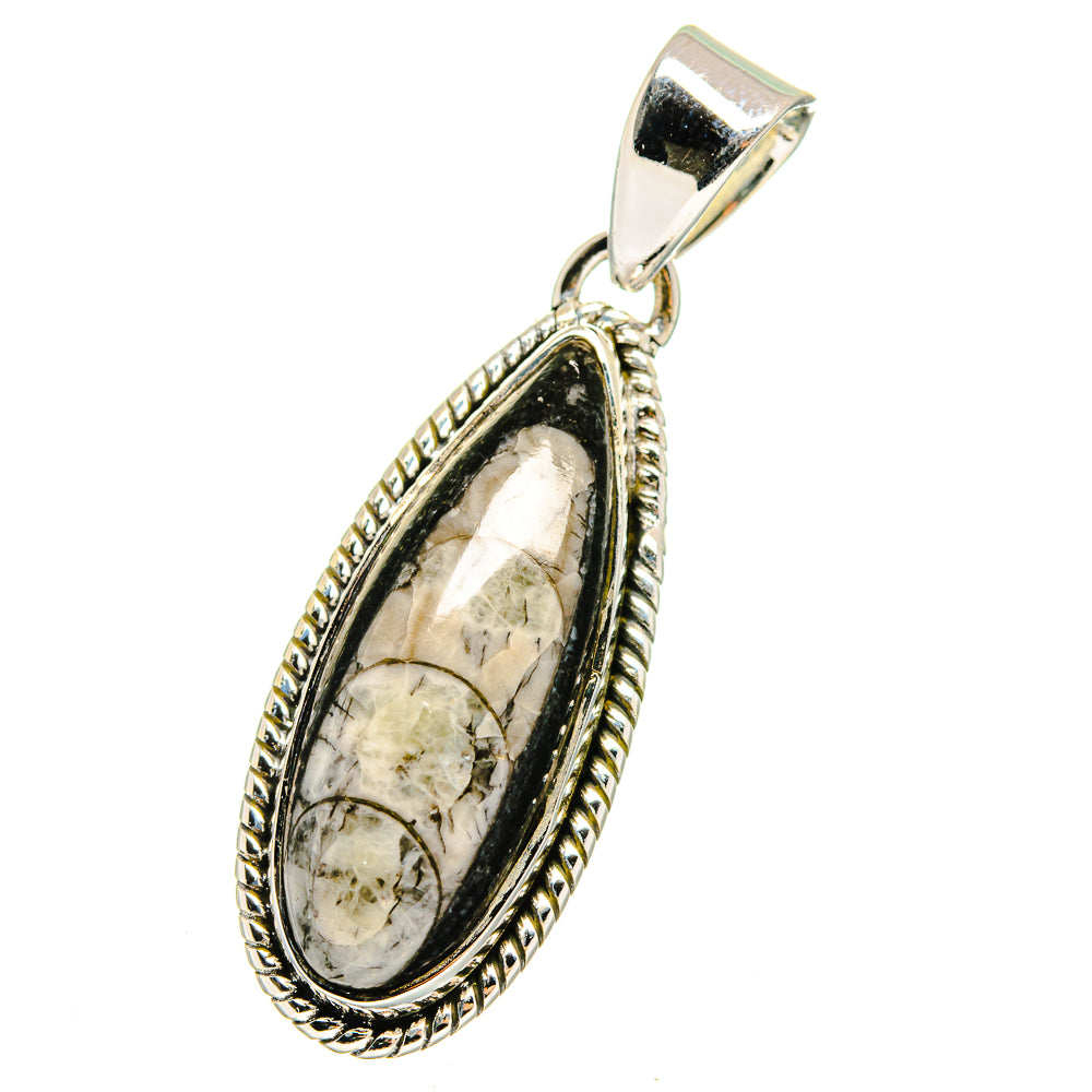 Orthoceras Fossil Pendants handcrafted by Anasilvercos - PD13640