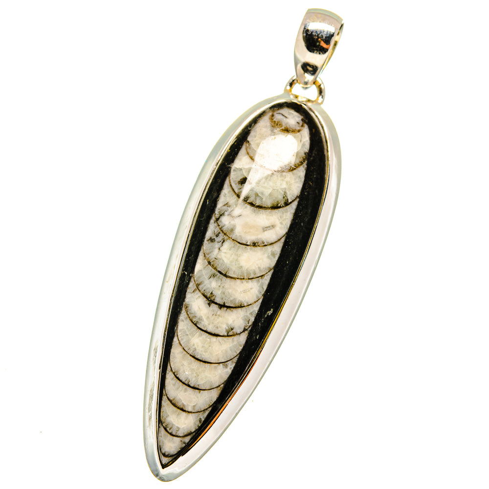 Orthoceras Fossil Pendants handcrafted by Anasilvercos - PD14755