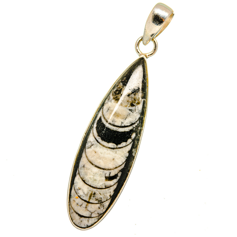 Orthoceras Fossil Pendants handcrafted by Anasilvercos - PD14777