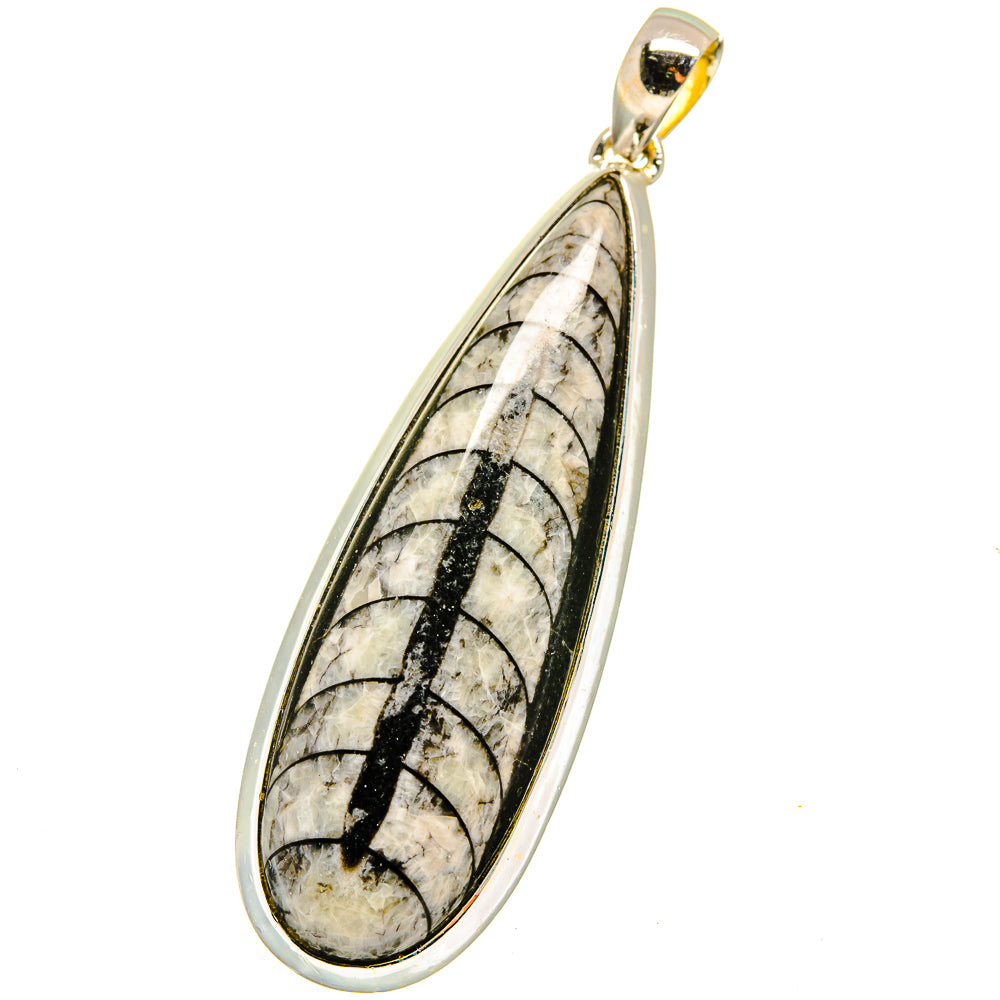 Orthoceras Fossil Pendants handcrafted by Anasilvercos - PD14779