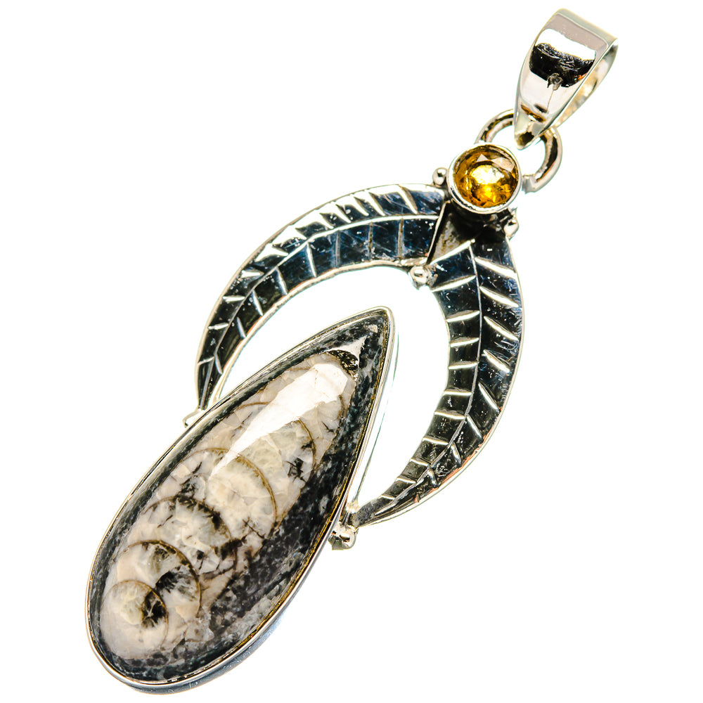 Orthoceras Fossil Pendants handcrafted by Anasilvercos - PD17321
