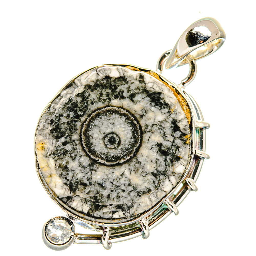 Moroccan Goniatite Fossil Pendants handcrafted by Anasilvercos - PD17777