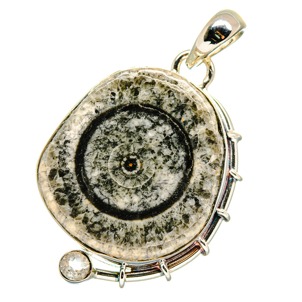 Moroccan Goniatite Fossil Pendants handcrafted by Anasilvercos - PD17781