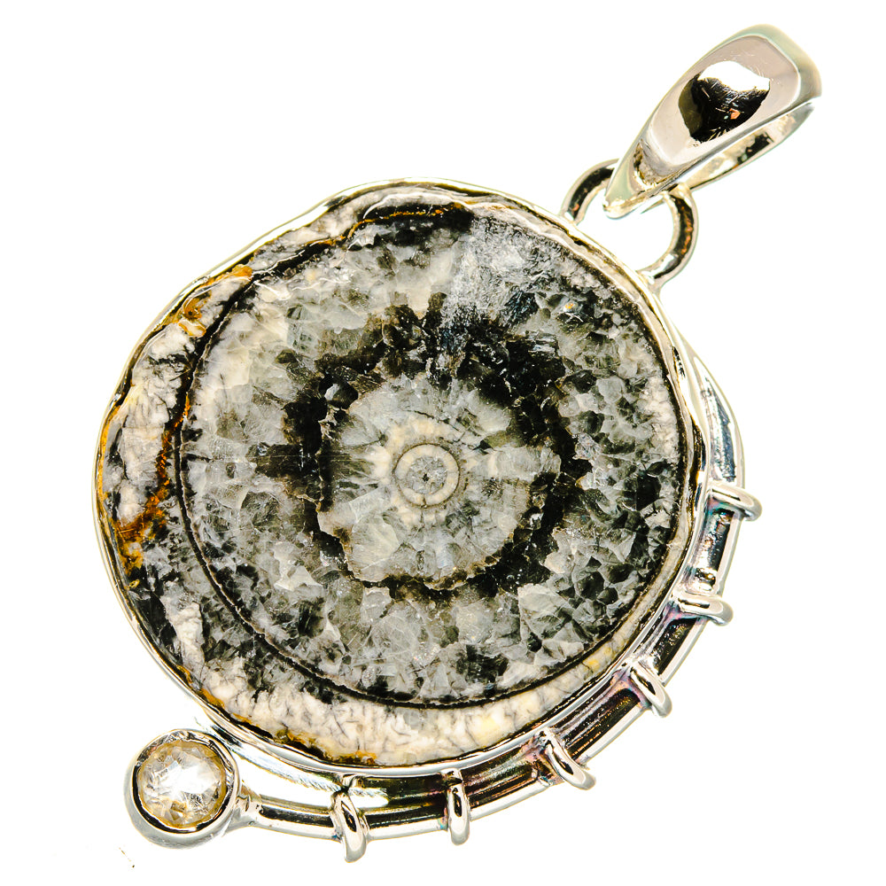 Goniatite Fossil Pendants handcrafted by Anasilvercos - PD17904