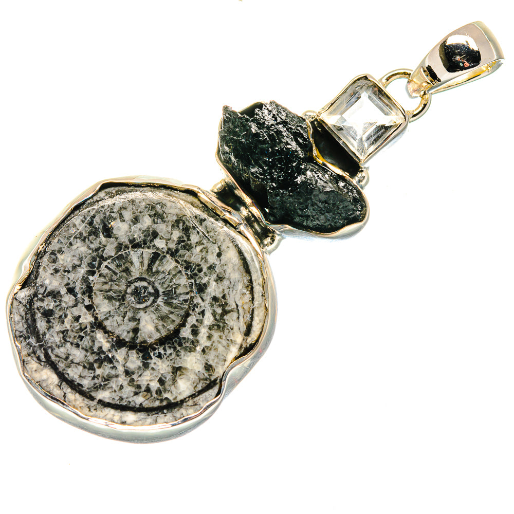 Goniatite Fossil Pendants handcrafted by Anasilvercos - PD18124