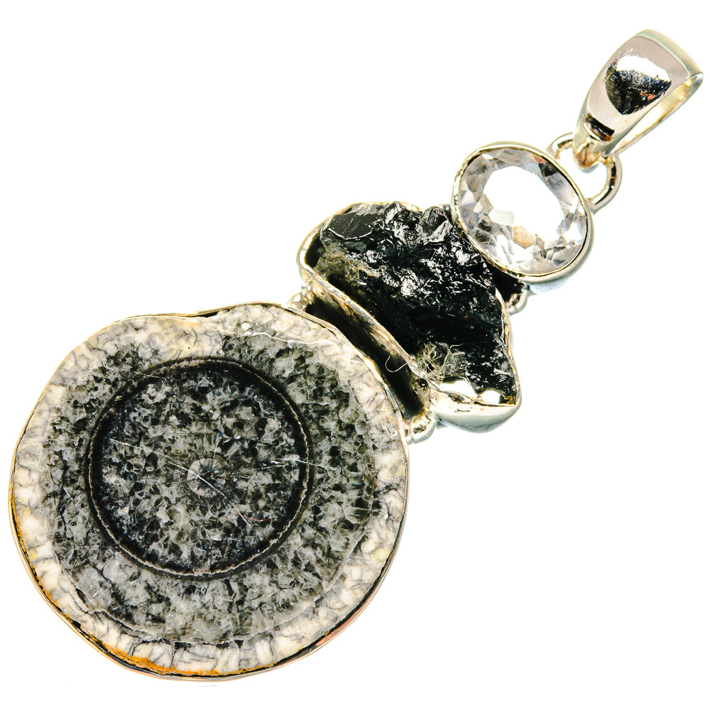 Goniatite Fossil Pendants handcrafted by Anasilvercos - PD18130