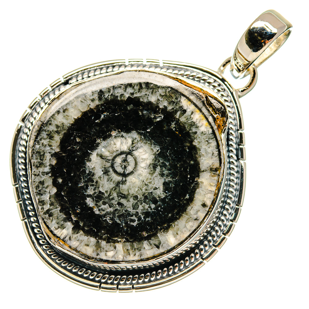 Goniatite Fossil Pendants handcrafted by Anasilvercos - PD18270