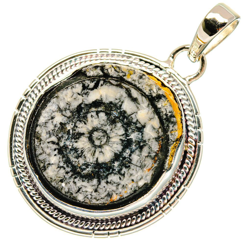 Goniatite Fossil Pendants handcrafted by Anasilvercos - PD18332