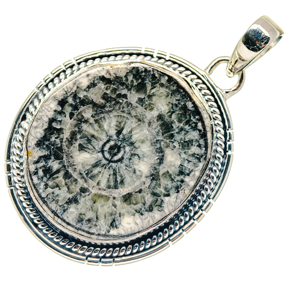 Goniatite Fossil Pendants handcrafted by Anasilvercos - PD18670