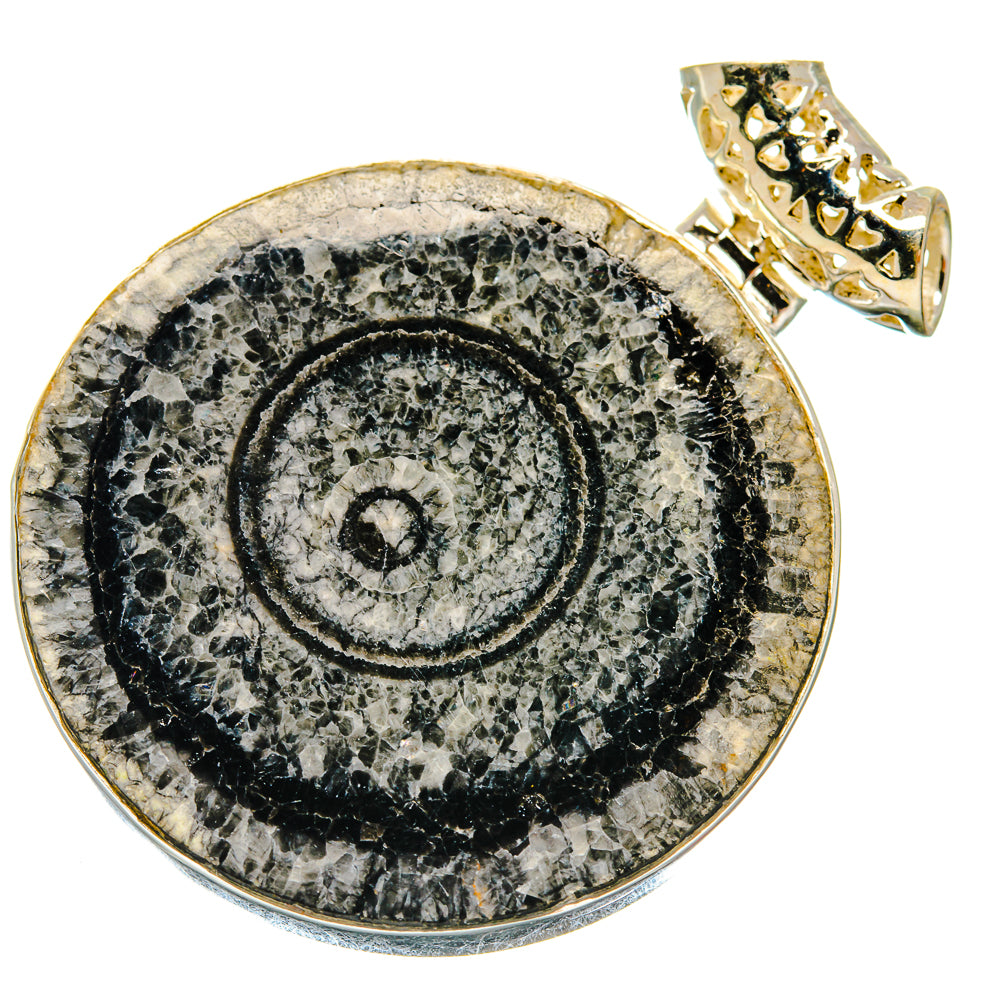 Moroccan Goniatite Fossil Pendants handcrafted by Anasilvercos - PD20164