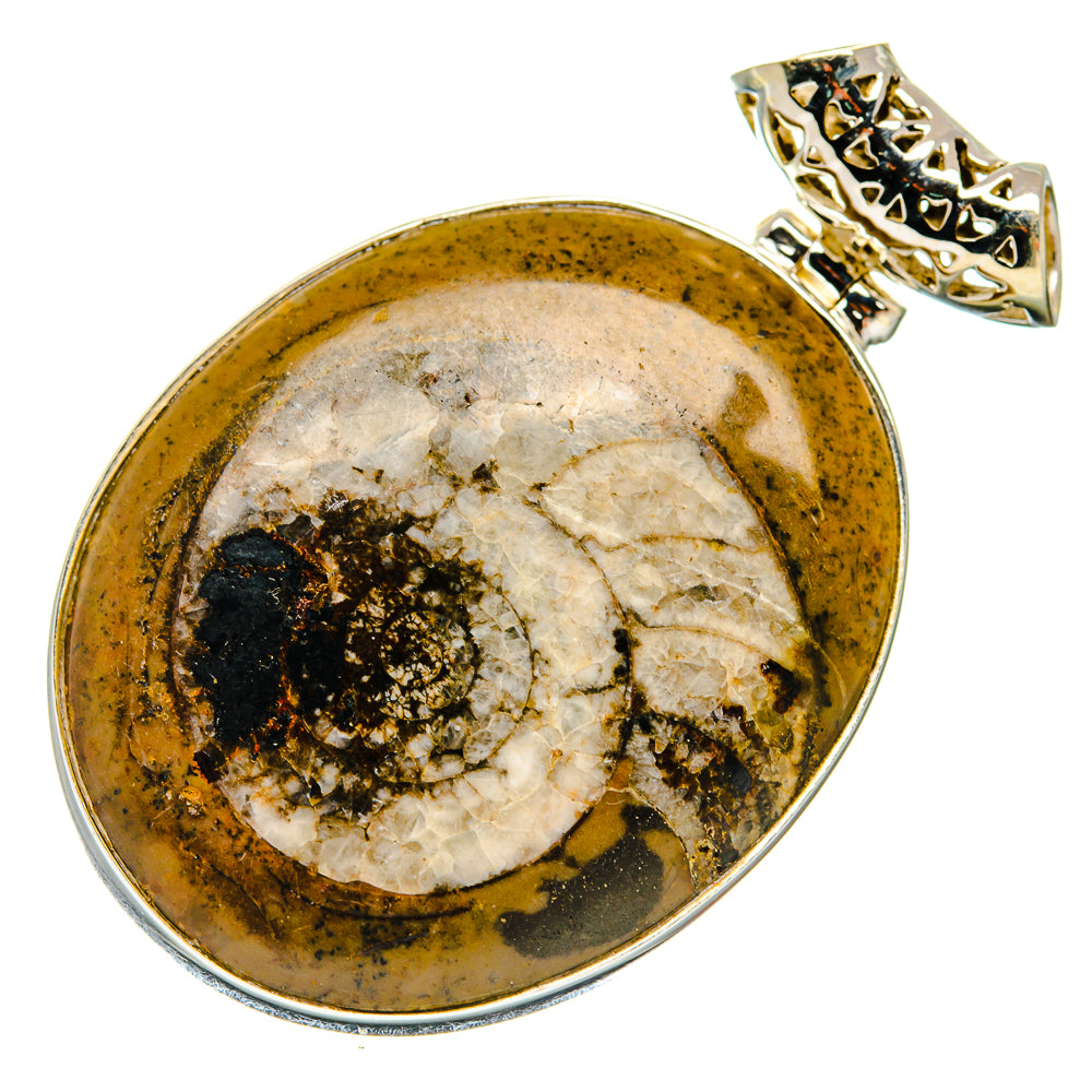 Ammonite Fossil Pendants handcrafted by Anasilvercos - PD20165