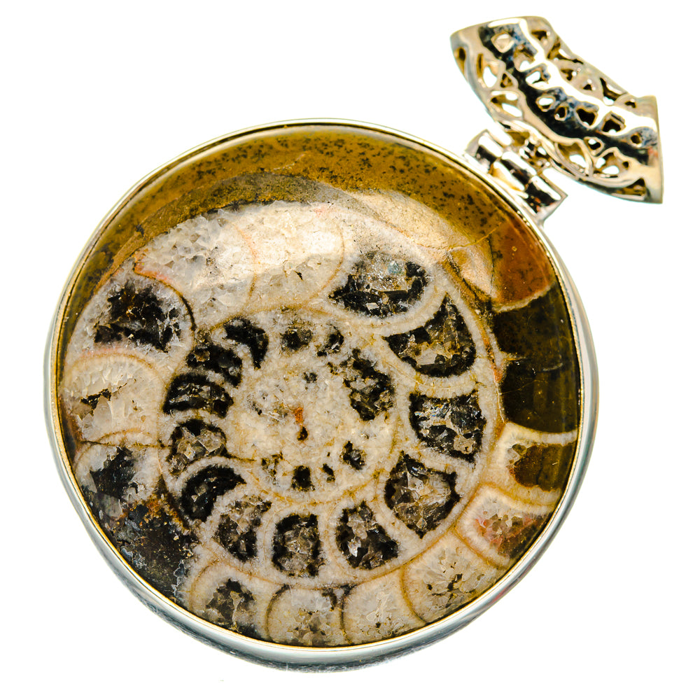 Ammonite Fossil Pendants handcrafted by Anasilvercos - PD20166