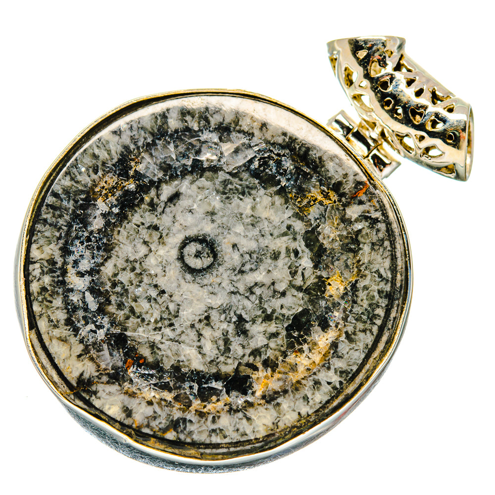 Moroccan Goniatite Fossil Pendants handcrafted by Anasilvercos - PD20168