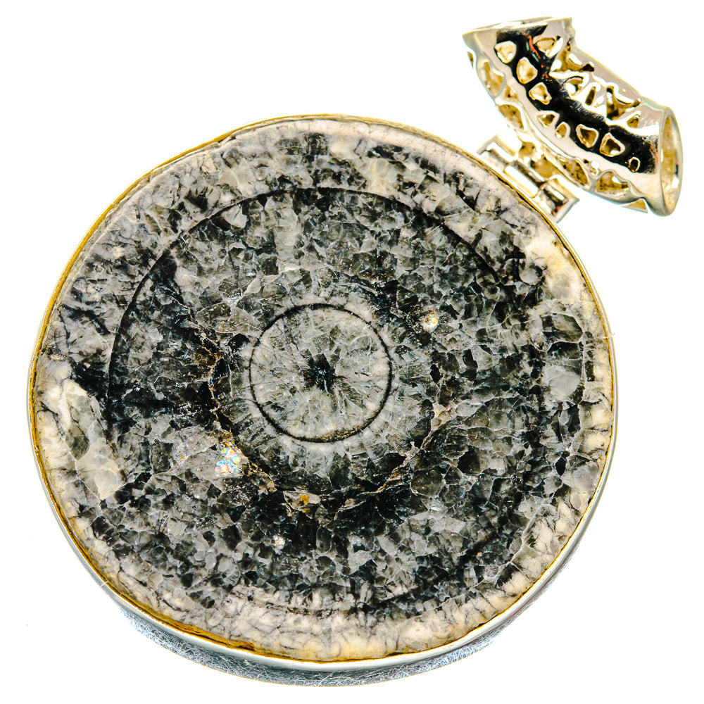 Moroccan Goniatite Fossil Pendants handcrafted by Anasilvercos - PD20169