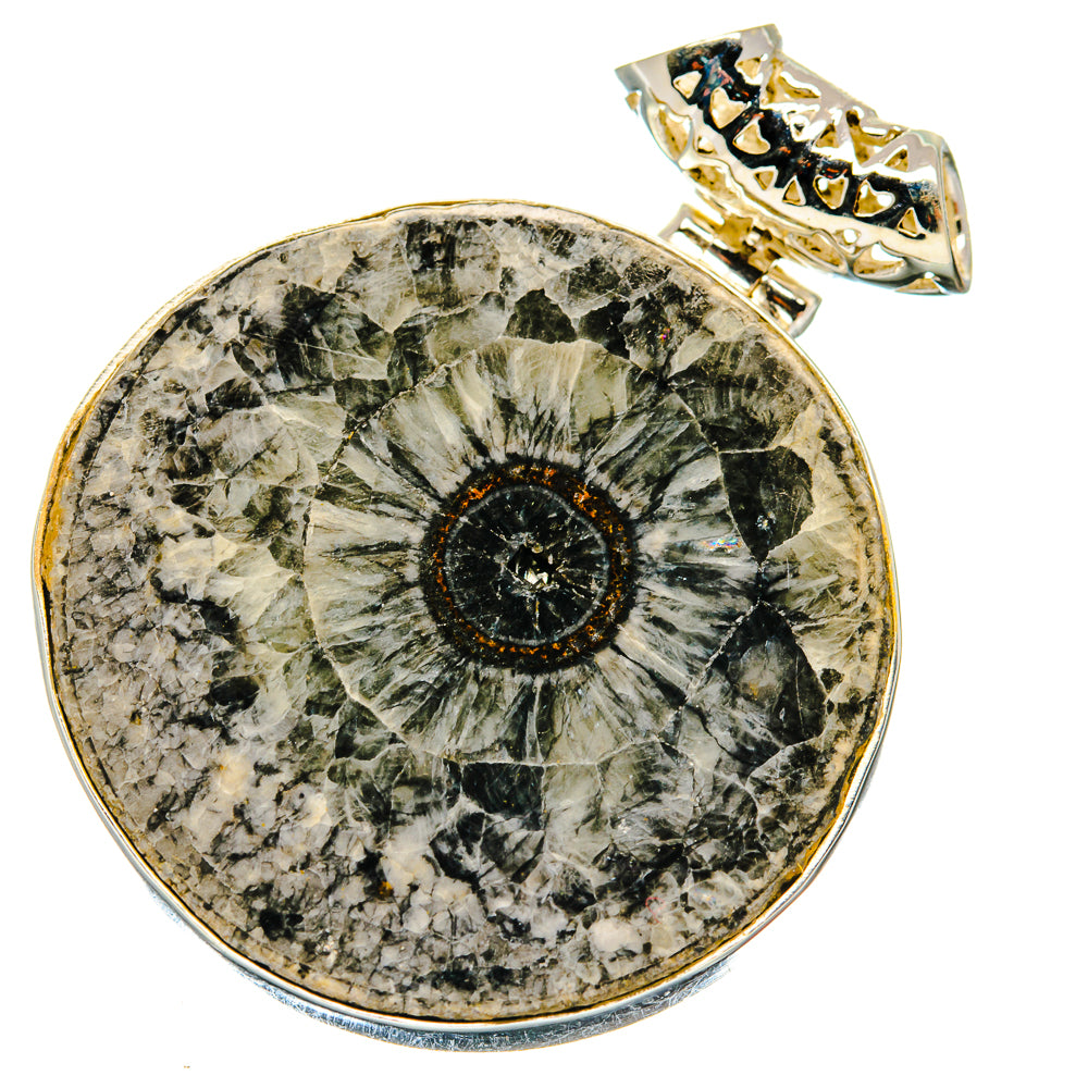 Moroccan Goniatite Fossil Pendants handcrafted by Anasilvercos - PD20170