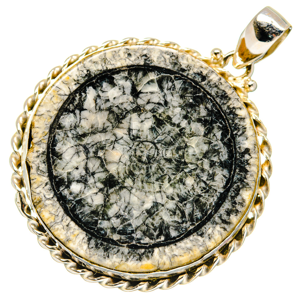 Moroccan Goniatite Fossil Pendants handcrafted by Anasilvercos - PD20231