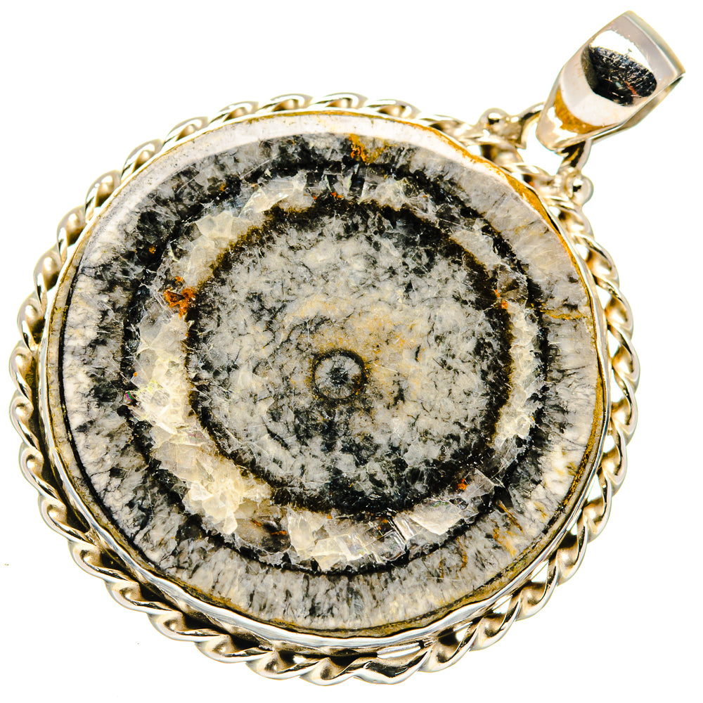 Moroccan Goniatite Fossil Pendants handcrafted by Anasilvercos - PD20359