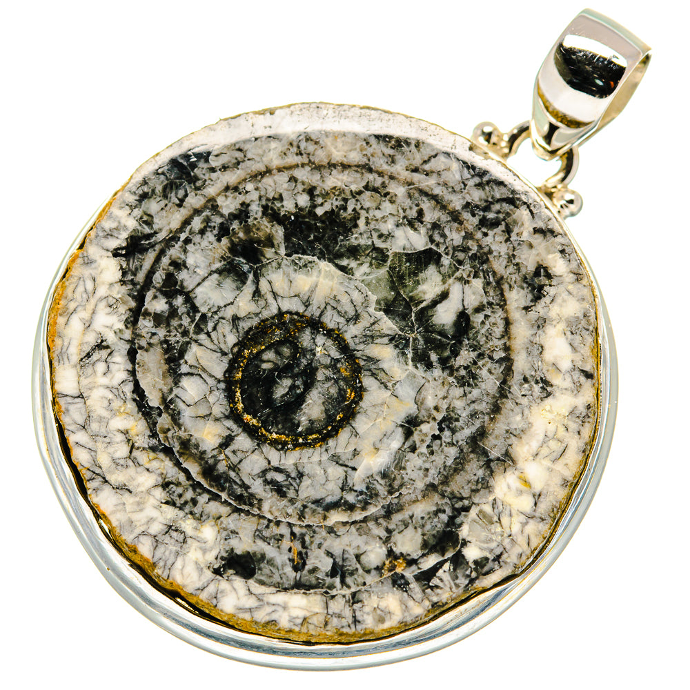 Moroccan Goniatite Fossil Pendants handcrafted by Anasilvercos - PD20647