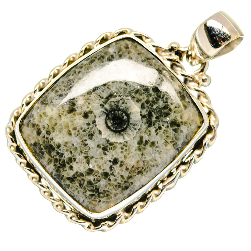 Moroccan Goniatite Fossil Pendants handcrafted by Anasilvercos - PD20967