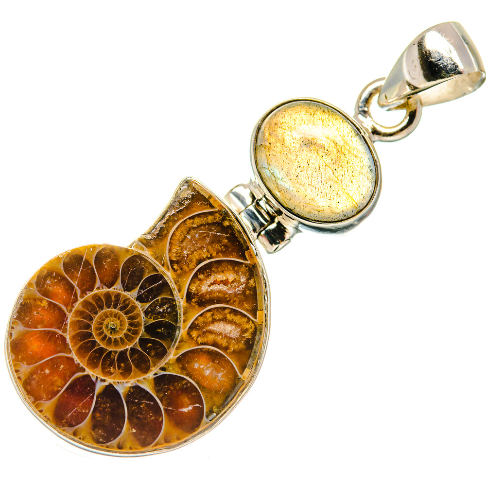 Ammonite Fossil, Labradorite Pendants handcrafted by Anasilvercos - PD21808