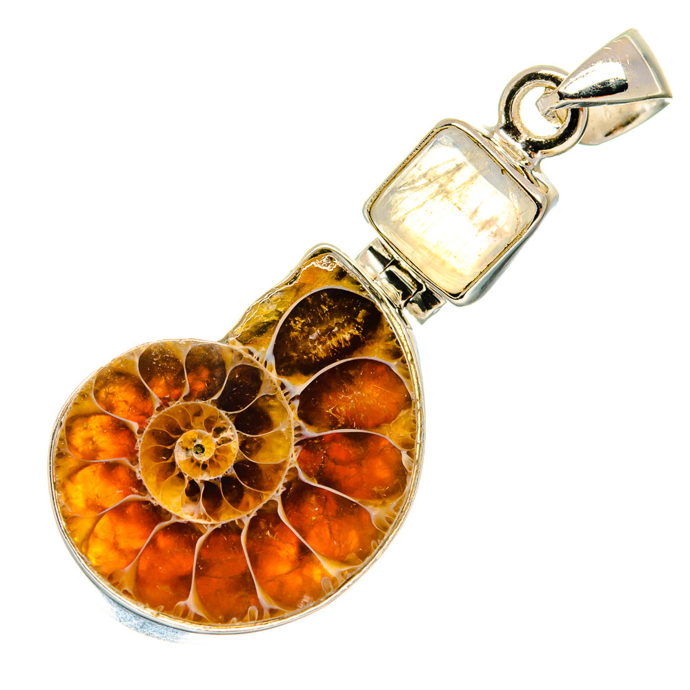 Ammonite Fossil Pendants handcrafted by Anasilvercos - PD22186 - Photo 2