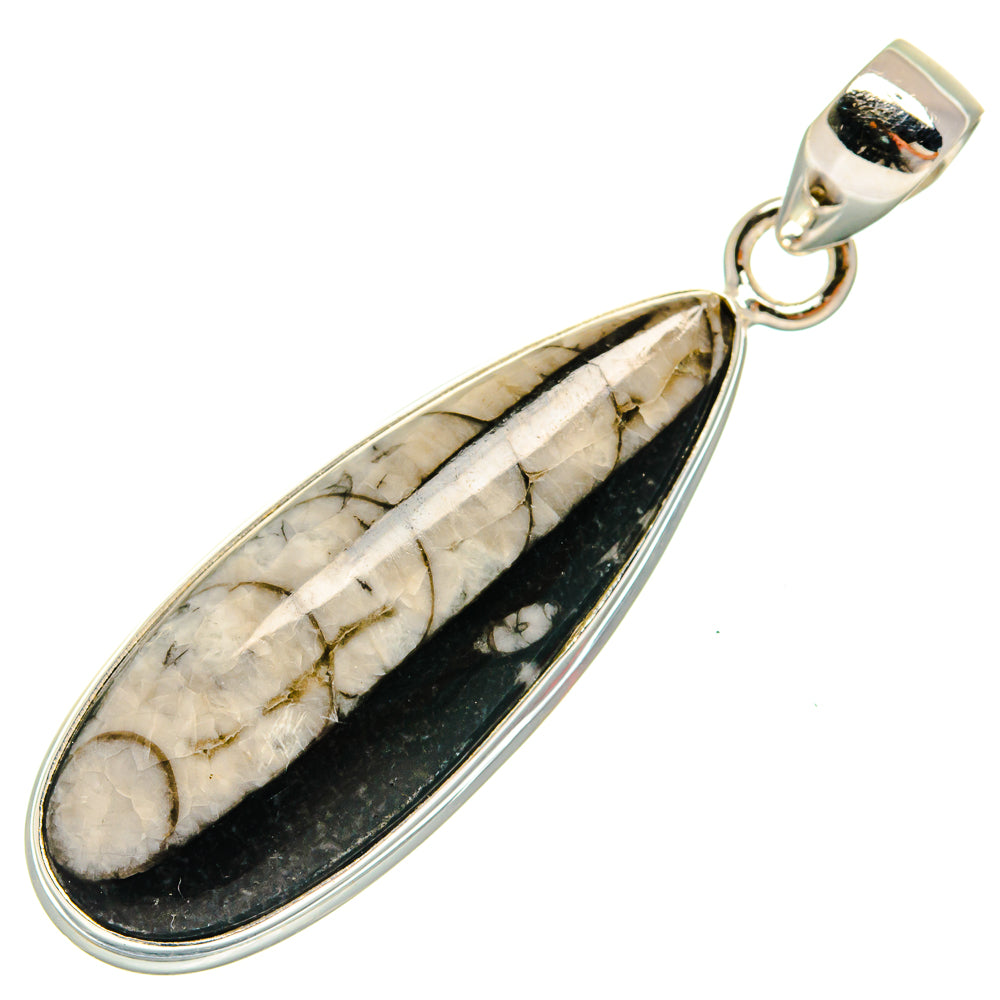 Orthoceras Fossil Pendants handcrafted by Anasilvercos - PD22467 - Photo 2