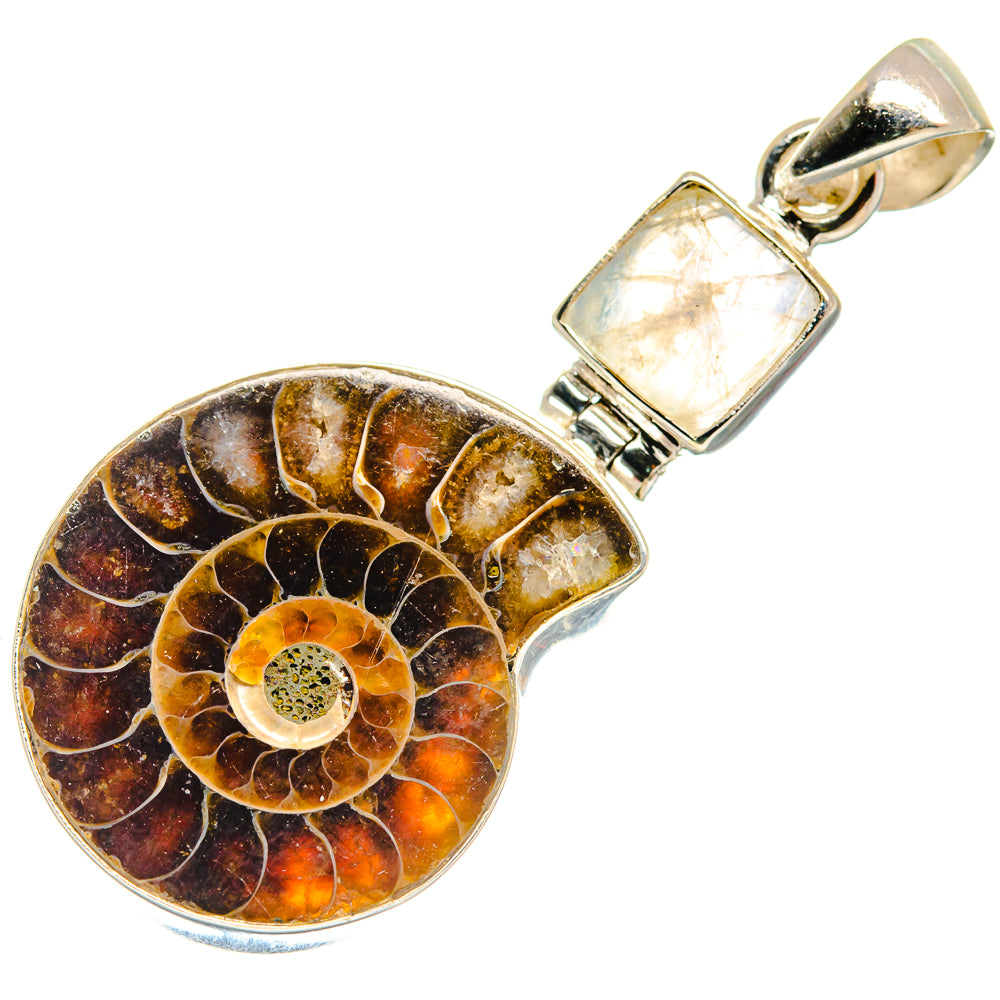 Ammonite Fossil Pendants handcrafted by Anasilvercos - PD22828 - Photo 2