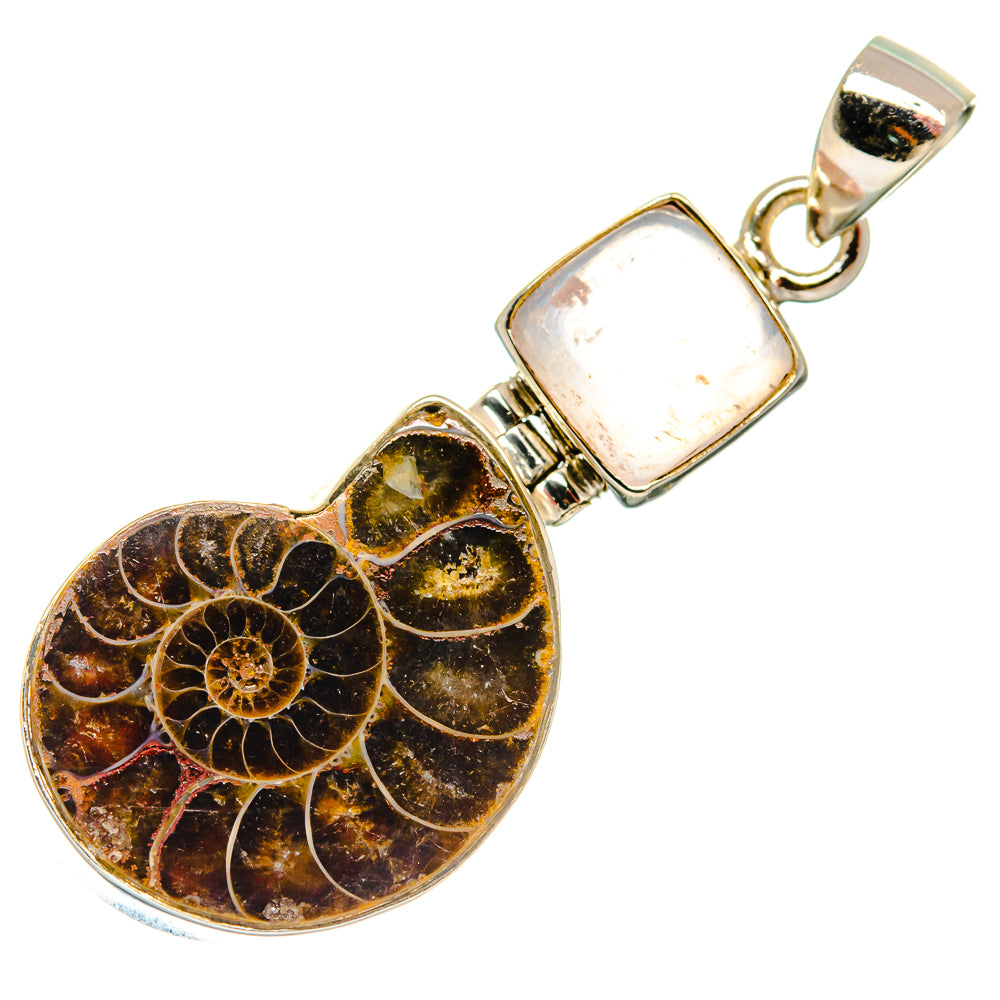 Ammonite Fossil Pendants handcrafted by Anasilvercos - PD22830 - Photo 2