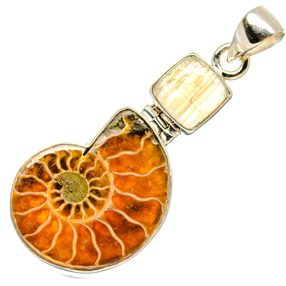 Ammonite Fossil Pendants handcrafted by Anasilvercos - PD22855 - Photo 2