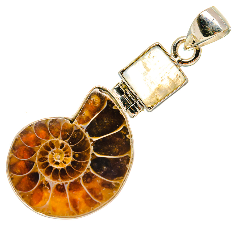 Ammonite Fossil Pendants handcrafted by Anasilvercos - PD23014 - Photo 2