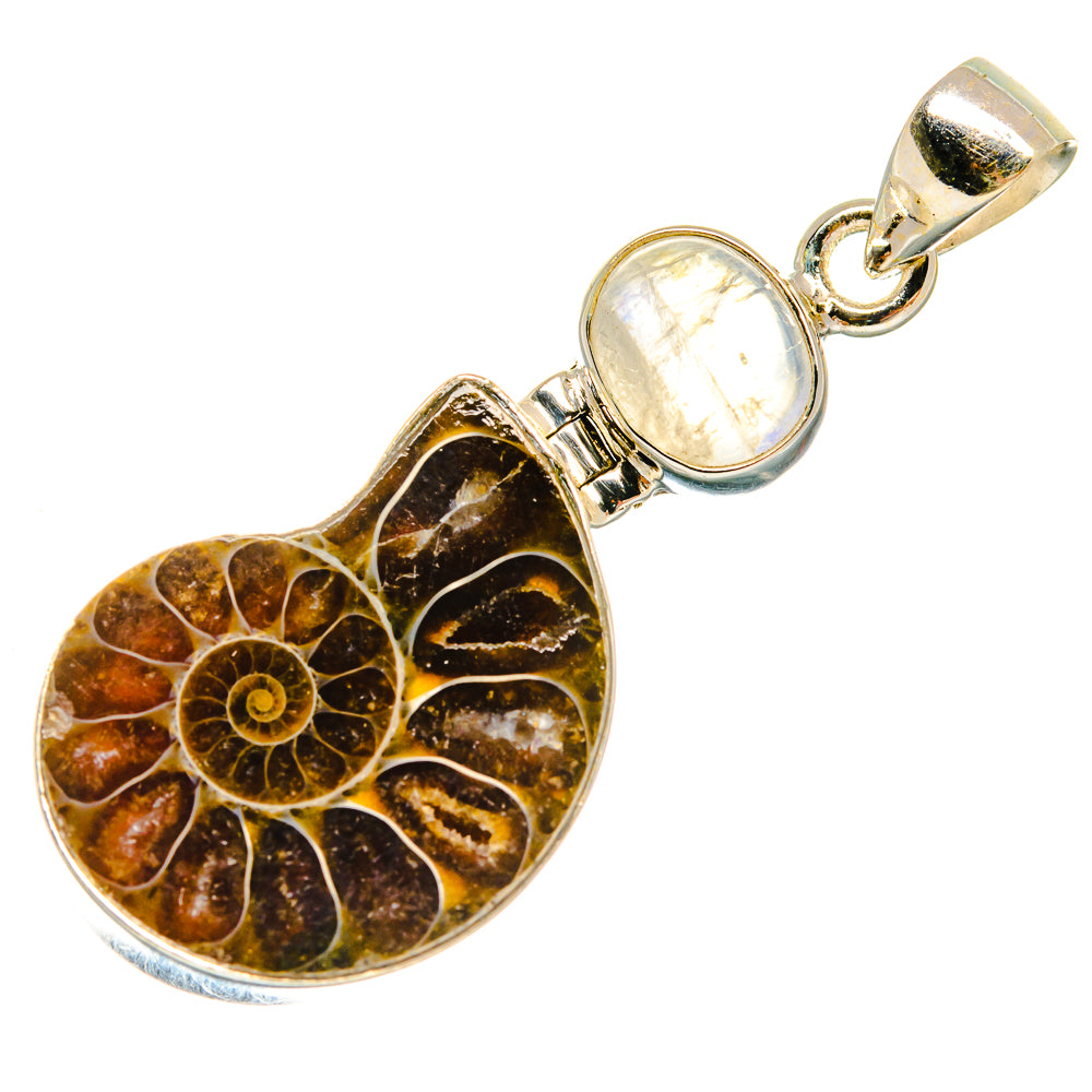 Ammonite Fossil Pendants handcrafted by Anasilvercos - PD23392 - Photo 2
