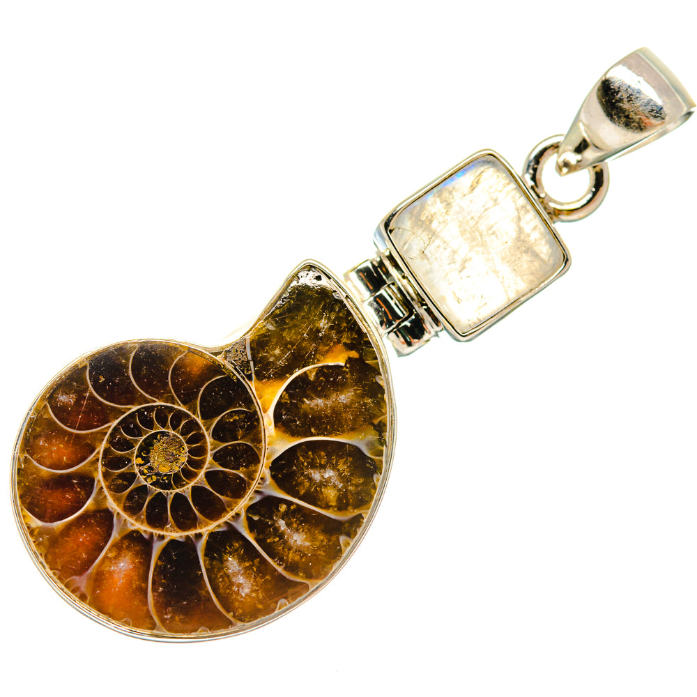 Ammonite Fossil Pendants handcrafted by Anasilvercos - PD23711 - Photo 2