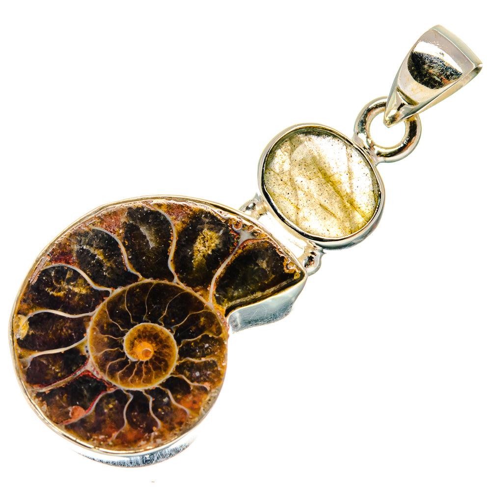 Ammonite Fossil Pendants handcrafted by Anasilvercos - PD23798 - Photo 2