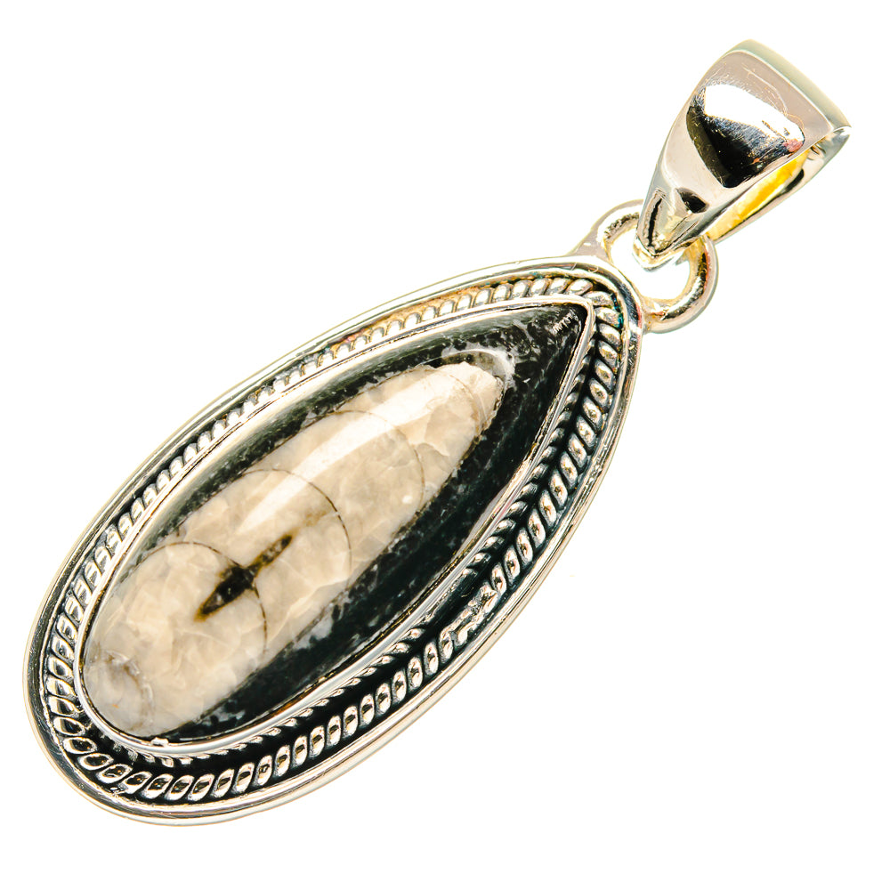 Orthoceras Fossil Pendants handcrafted by Anasilvercos - PD26740 - Photo 2