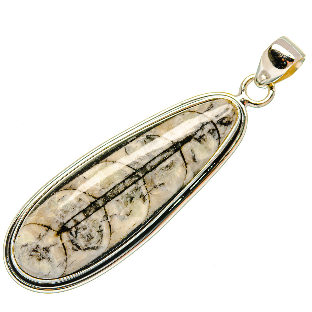 Orthoceras Fossil Pendants handcrafted by Anasilvercos - PD27381 - Photo 2