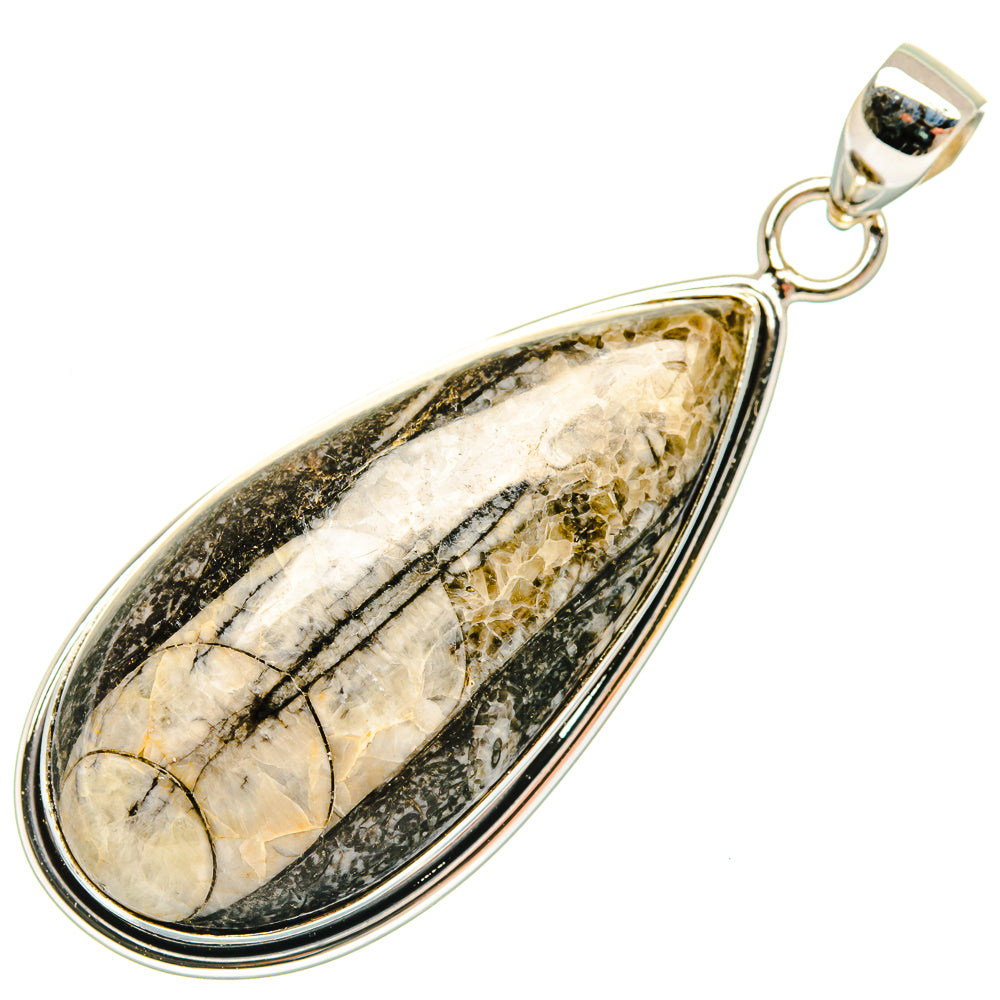 Orthoceras Fossil Pendants handcrafted by Anasilvercos - PD27382 - Photo 2