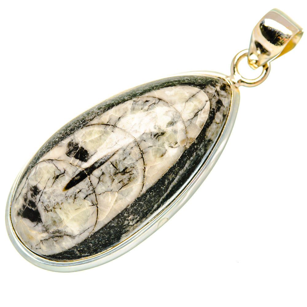Orthoceras Fossil Pendants handcrafted by Anasilvercos - PD27383 - Photo 2