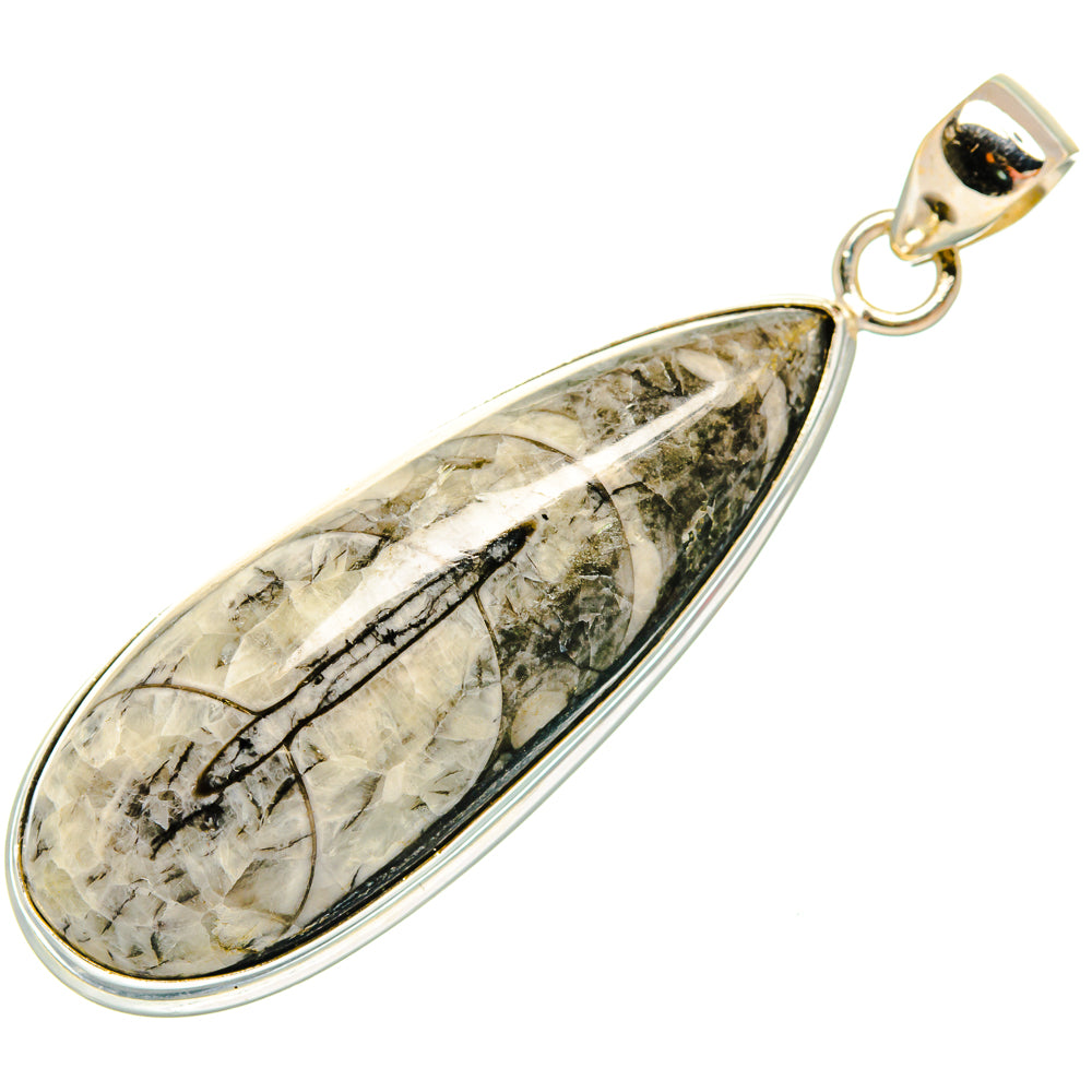 Orthoceras Fossil Pendants handcrafted by Anasilvercos - PD27384 - Photo 2