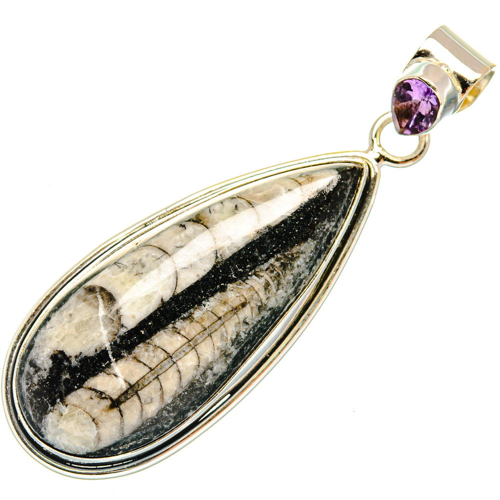 Orthoceras Fossil Pendants handcrafted by Anasilvercos - PD27385 - Photo 2