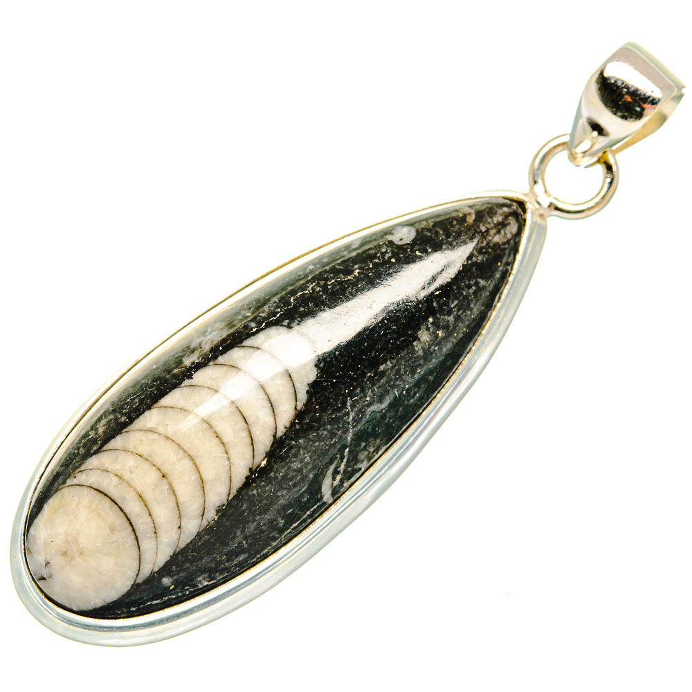 Orthoceras Fossil Pendants handcrafted by Anasilvercos - PD27386 - Photo 2