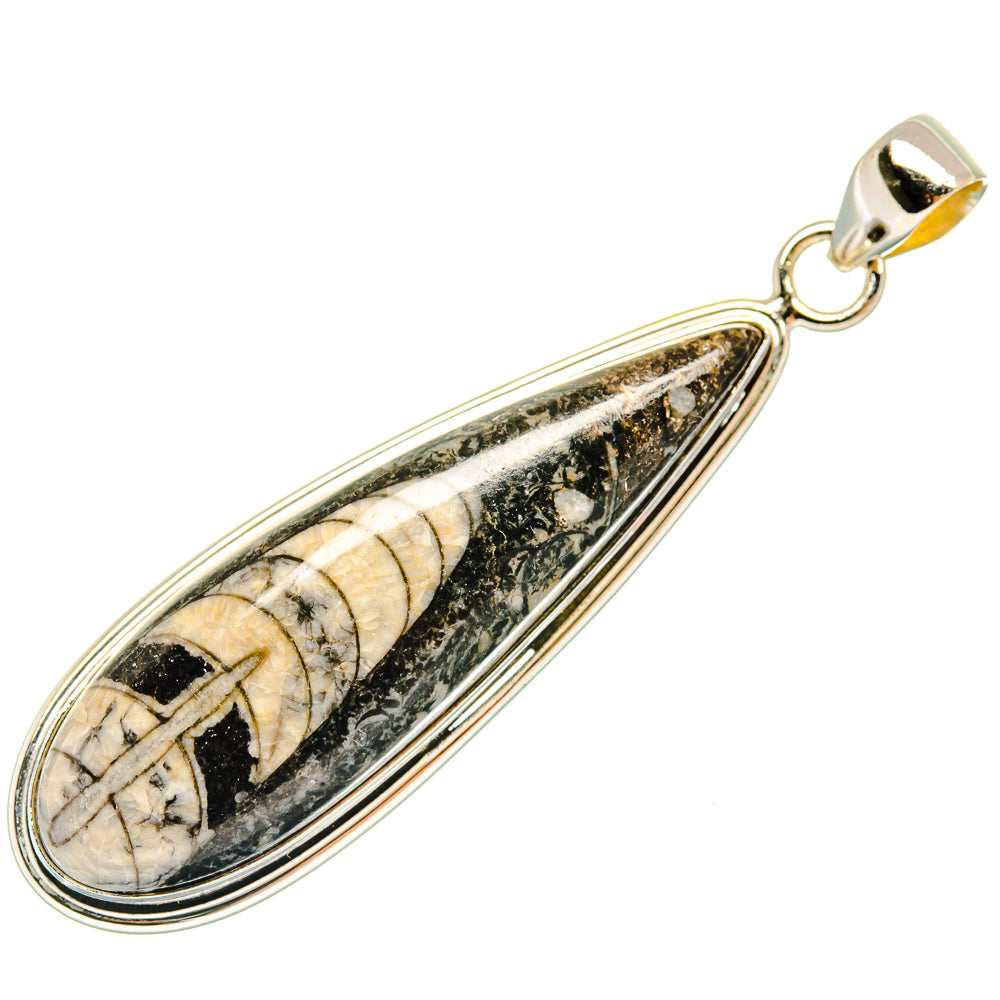 Orthoceras Fossil Pendants handcrafted by Anasilvercos - PD27387 - Photo 2