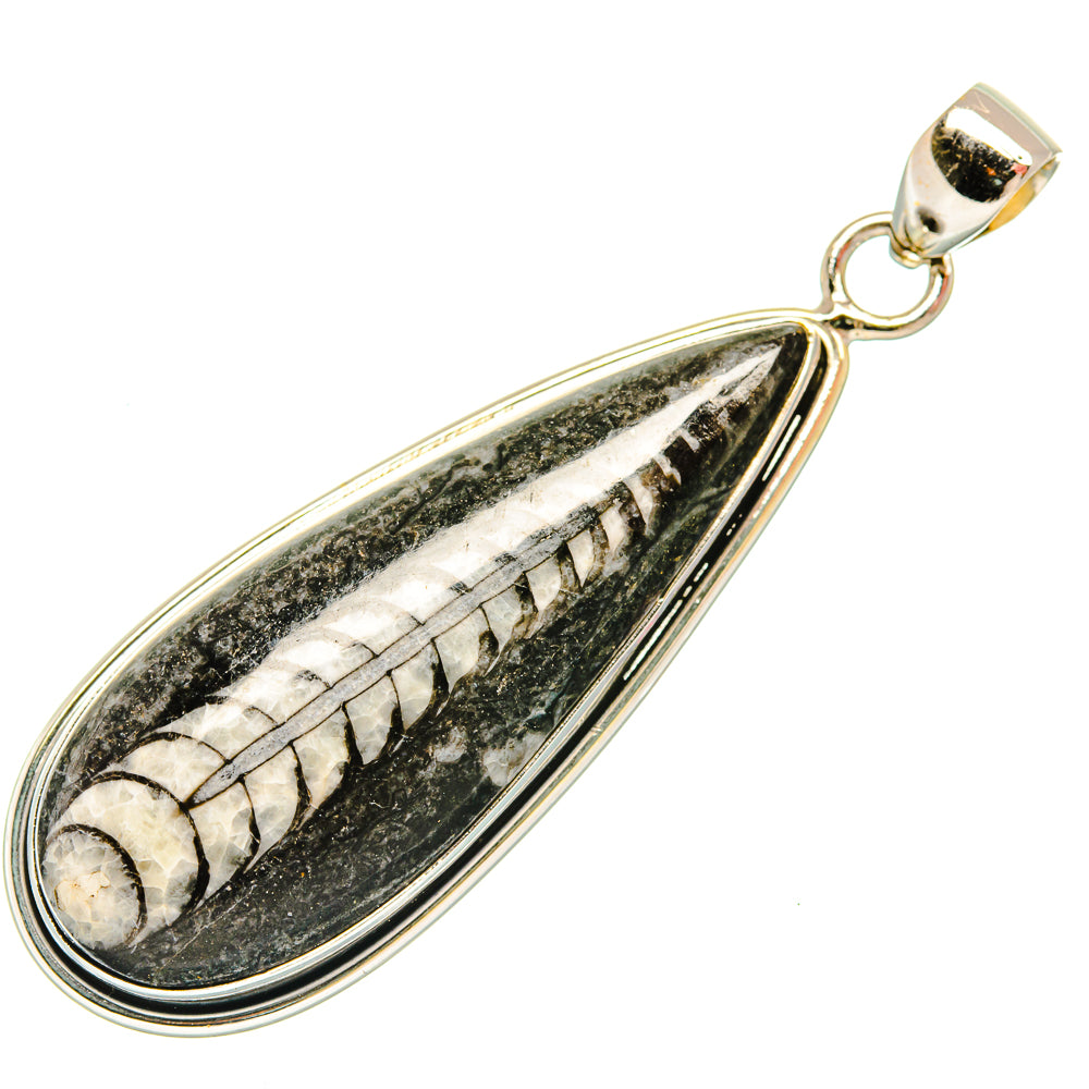 Orthoceras Fossil Pendants handcrafted by Anasilvercos - PD27388 - Photo 2