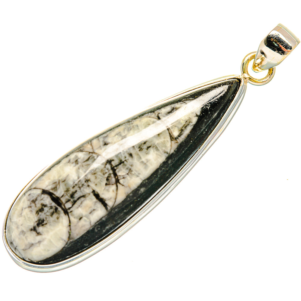 Orthoceras Fossil Pendants handcrafted by Anasilvercos - PD27528 - Photo 2
