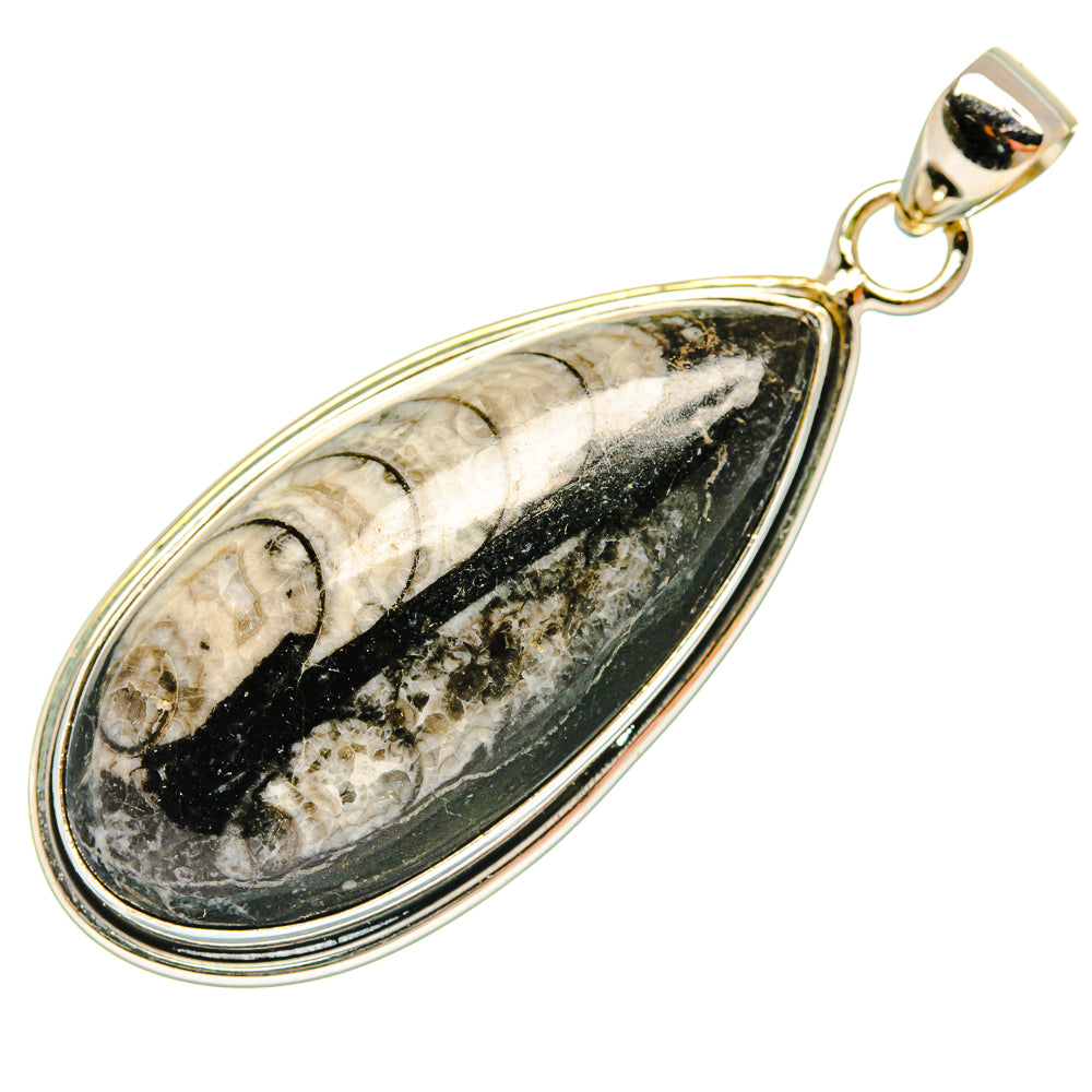 Orthoceras Fossil Pendants handcrafted by Anasilvercos - PD27529 - Photo 2