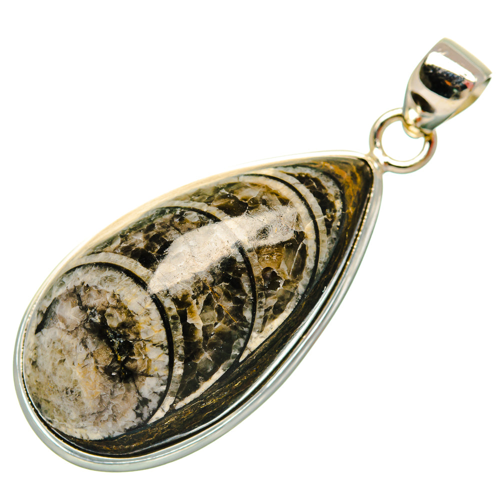 Orthoceras Fossil Pendants handcrafted by Anasilvercos - PD27531 - Photo 2