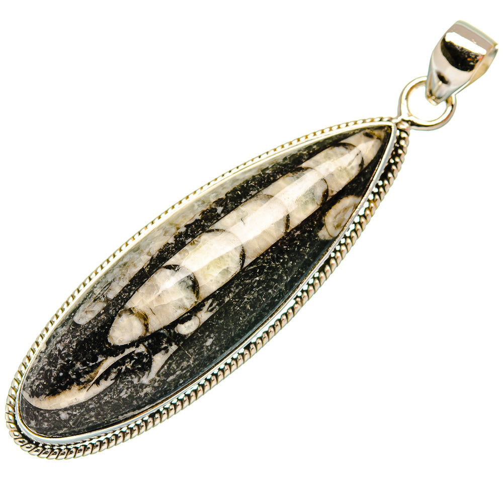 Orthoceras Fossil Pendants handcrafted by Anasilvercos - PD27719 - Photo 2