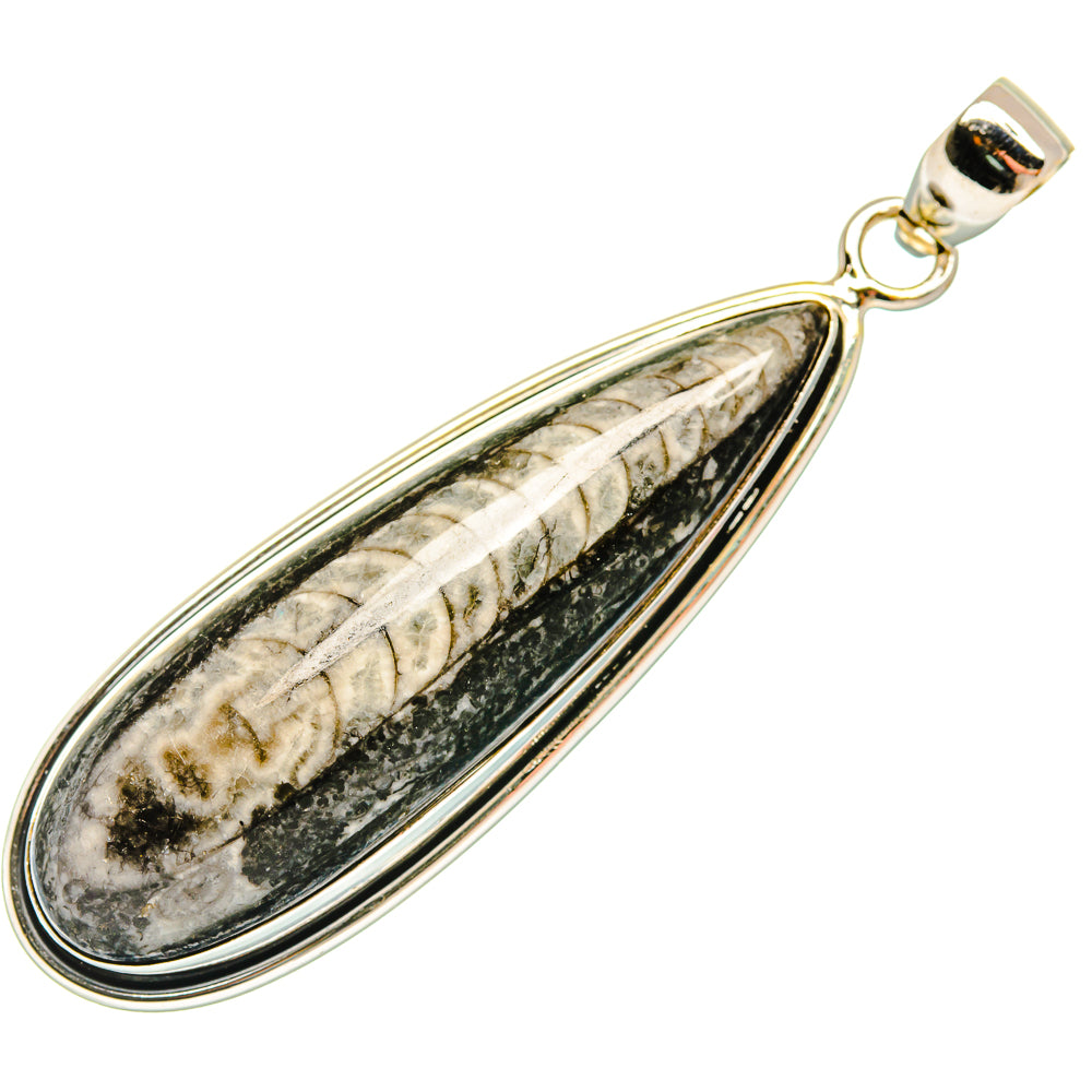 Orthoceras Fossil Pendants handcrafted by Anasilvercos - PD27720 - Photo 2