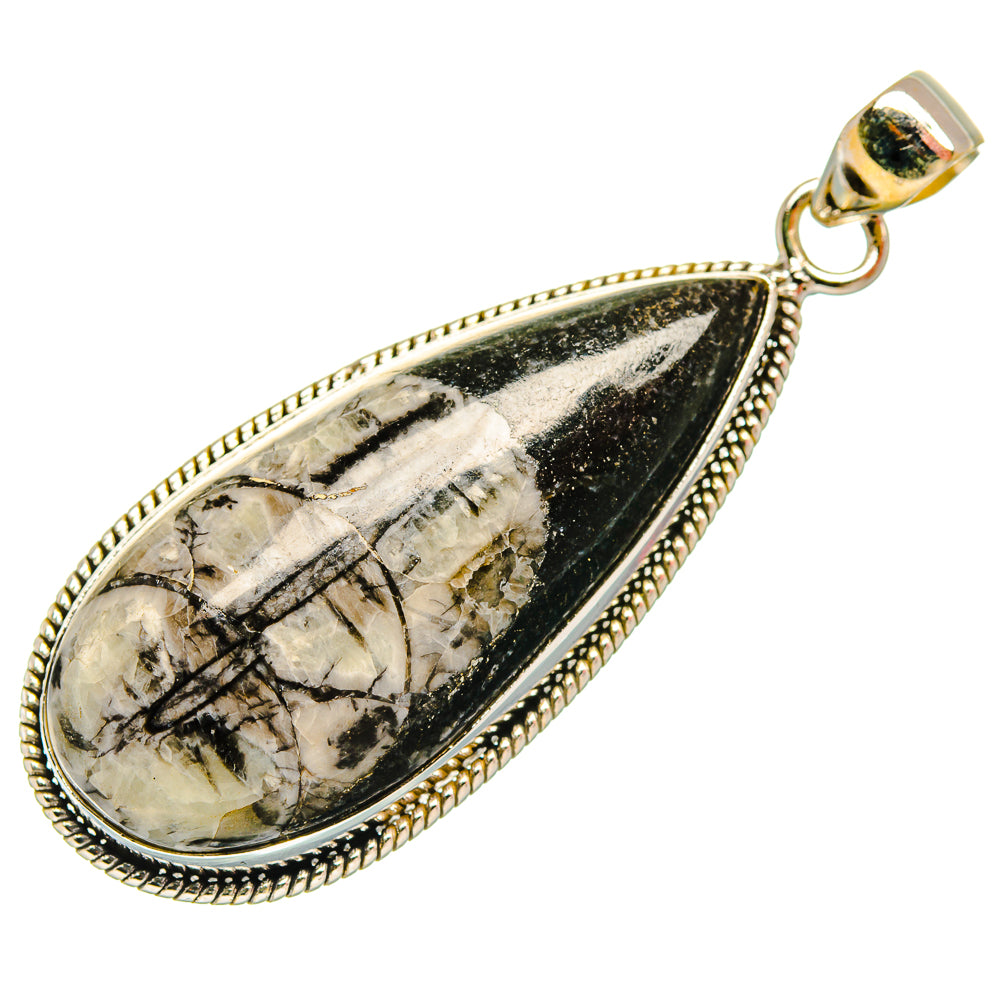 Orthoceras Fossil Pendants handcrafted by Anasilvercos - PD27721 - Photo 2