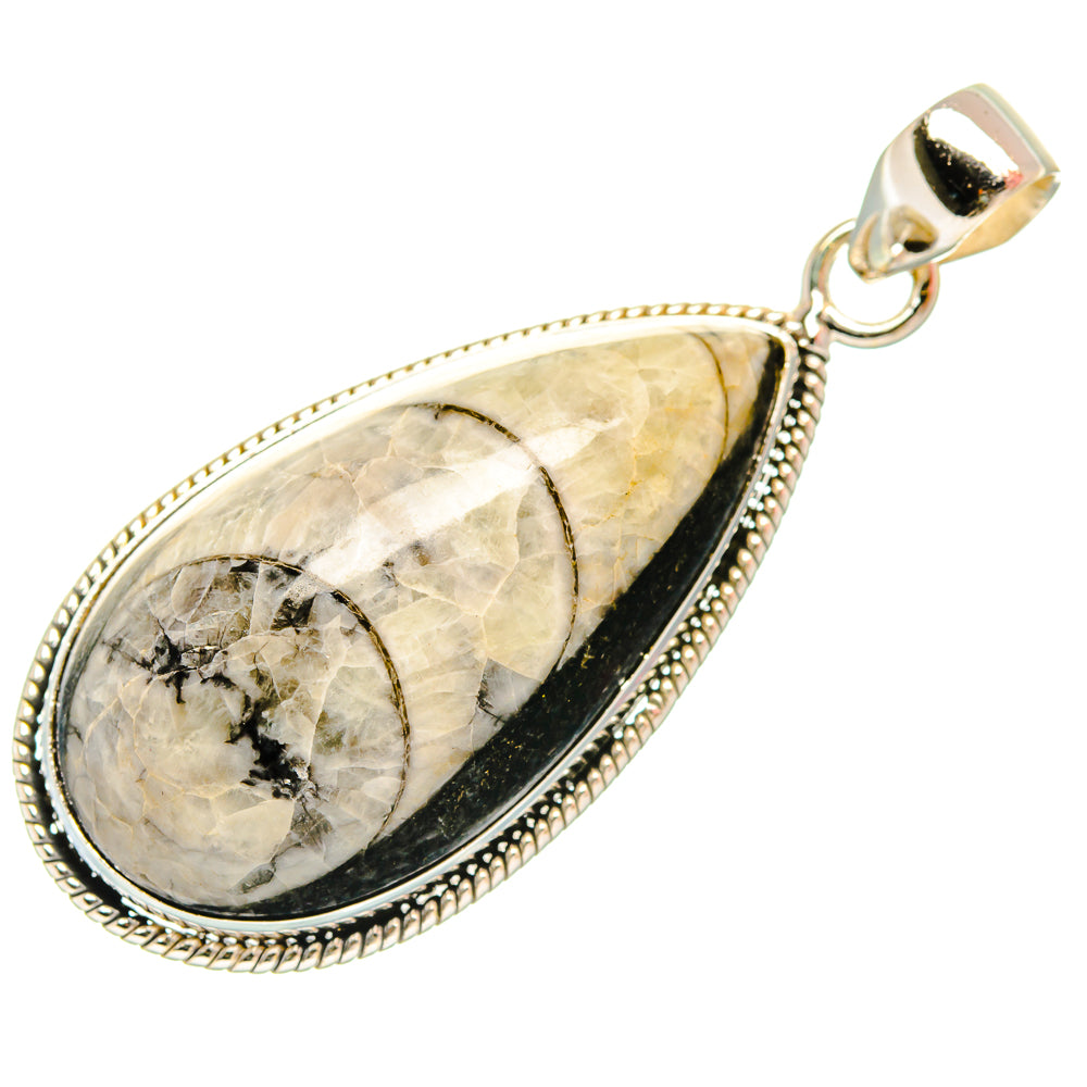 Orthoceras Fossil Pendants handcrafted by Anasilvercos - PD27722 - Photo 2